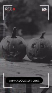 🎃 ¡Atrévete a probar el lado más oscuro del chocolate! 👻
En Halloween, los monstruos, brujas y fantasmas tienen algo en común…
😱 ¡Todos se mueren por el chocolate de XOCOMON!

Sin alérgenos, pero con un sabor que hechiza.
🕸️ Tabletas en forma de calabaza y de calavera, figuras que cobran vida al caer la noche…
¿Te atreves a darles un mordisco? 💀

Haz tu pedido antes de que desaparezcan entre las sombras...
👉 www.xocomon.com #sin #sintrazas